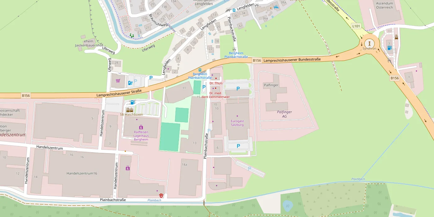 Kartenausschnitt: Standort Plainbachstraße 10, 5101 Bergheim